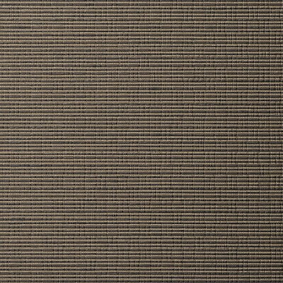 Scalamandre Wallcoverings CHENNAI SILKY RANCH