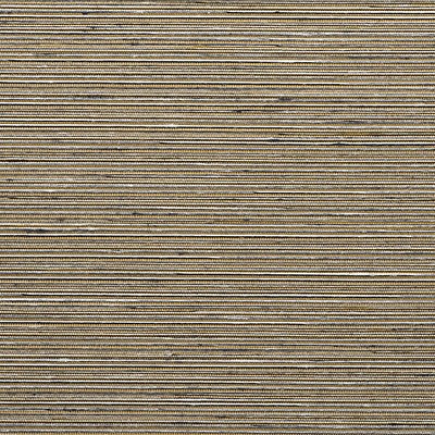 Scalamandre Wallcoverings MADURAI SILKY CAFE