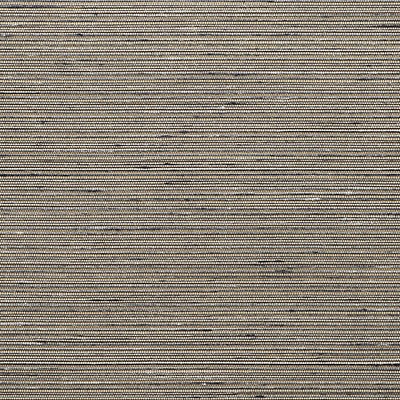 Scalamandre Wallcoverings MADURAI SILKY ABOLONE