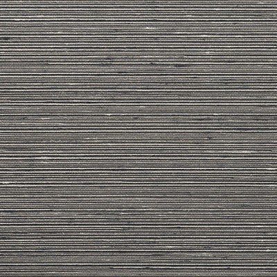 Scalamandre Wallcoverings MADURAI SILKY SILVER FOX