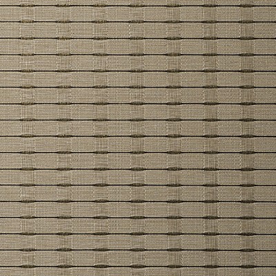 Scalamandre Wallcoverings DEEP SPACES SILKY CORNSILK