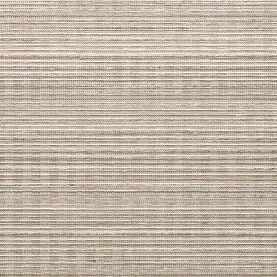 Scalamandre Wallcoverings KERALA SILKY ECRU