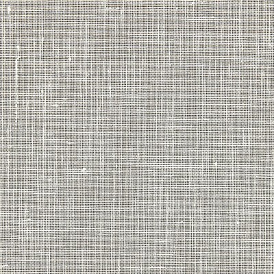 Scalamandre Wallcoverings BANDOL SOLID BARLEY