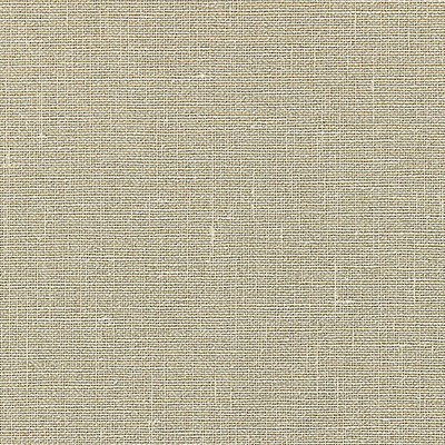 Scalamandre Wallcoverings BANDOL METALLIC CHAMPAGNE