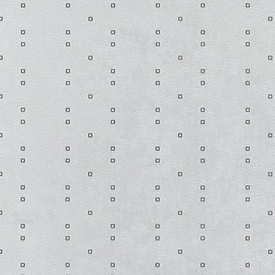 Scalamandre Wallcoverings GRAPHIC SPIRIT MIST