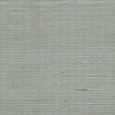 Scalamandre Wallcoverings ORGANIC SISAL SPA
