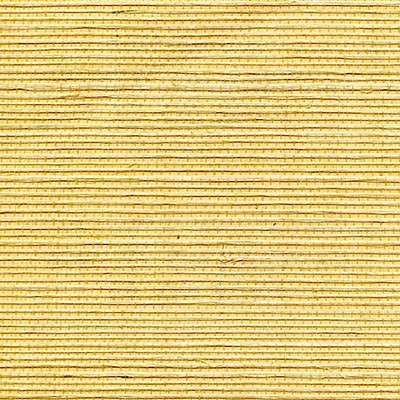 Scalamandre Wallcoverings ORGANIC SISAL CORNSILK