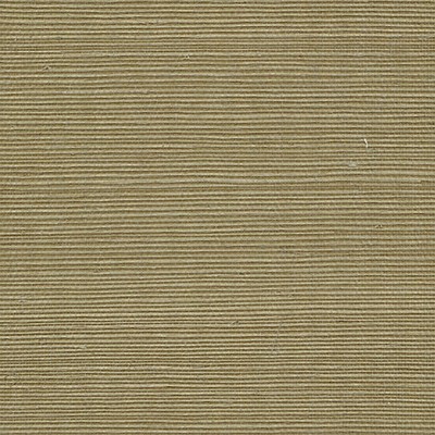 Scalamandre Wallcoverings ORGANIC SISAL FERNDALE