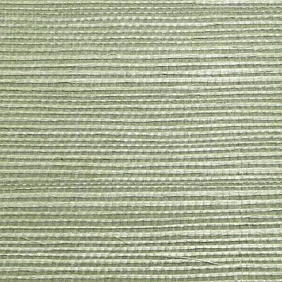 Scalamandre Wallcoverings ORGANIC SISAL SEA GLASS
