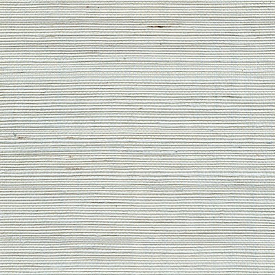 Scalamandre Wallcoverings ORGANIC SISAL REFRESH