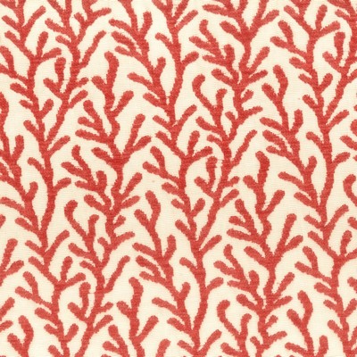 Stout 7659-1 CORAL
