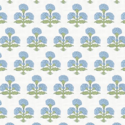 Stout 7857 HYDRANGEA 3 SPRINGTIME