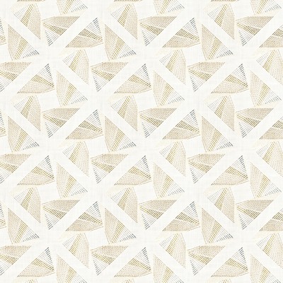 Stout ABRAXIS 1 MAPLE