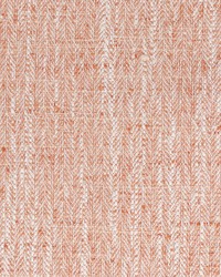 Stout ADCAP 5 SHRIMP Fabric