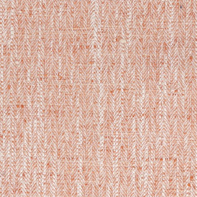 Stout ADCAP 5 SHRIMP SHRIMP