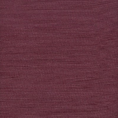 Stout ADMIRE PETUNIA