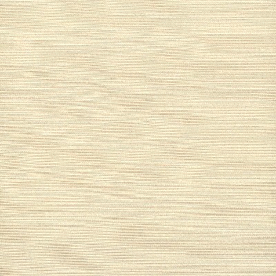 Stout ADMIRE CHAMPAGNE