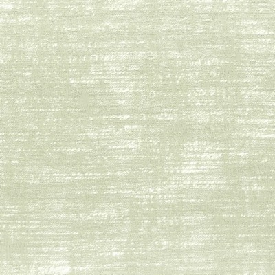 Stout AFFECTION 1 MUSHROOM