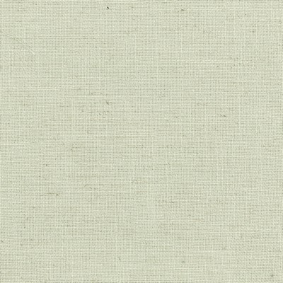 Stout AINSWORTH SPRAY