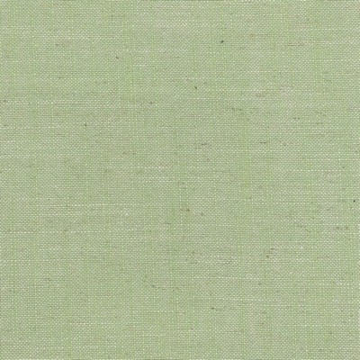 Stout AINSWORTH GRASS