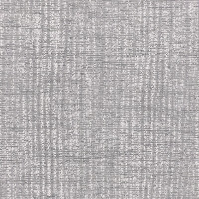 Stout ALBERTO CARBON