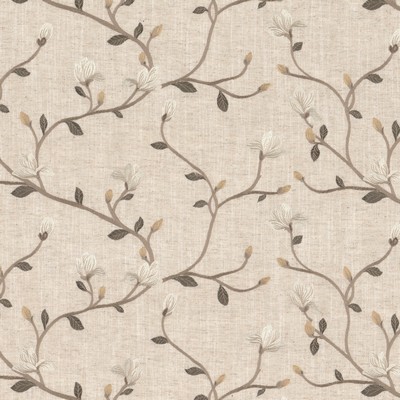 Stout ALEC 1 MUSHROOM