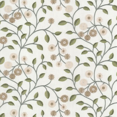 Stout ALMA 1 AVOCADO