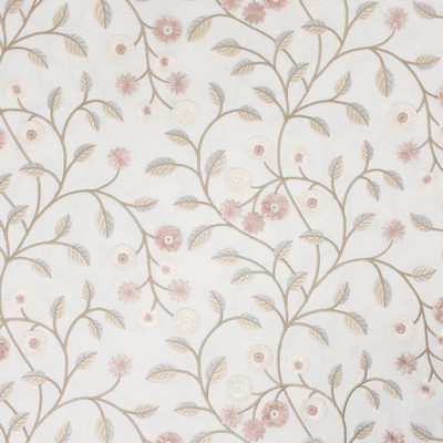 Stout ALMA 2 COTTONCANDY