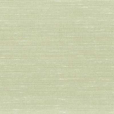 Stout ALTAMIRA 2 MUSHROOM