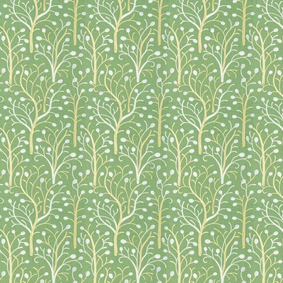 Stout ALYSSA EVERGREEN