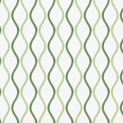 Stout AMARYLLIS 2 GRASS