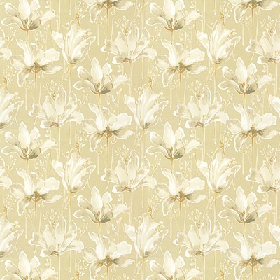 Stout AMATEUR 1 STRAW