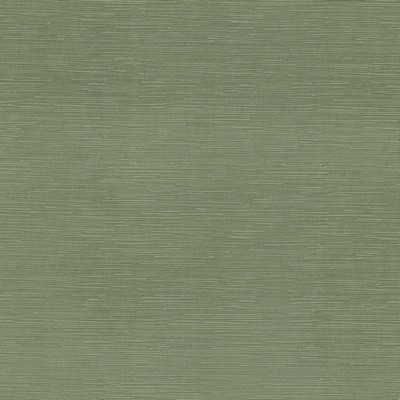 Stout AMOROUS 1 BASIL