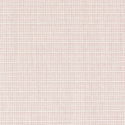 Stout ANDERSON 1 HIBISCUS