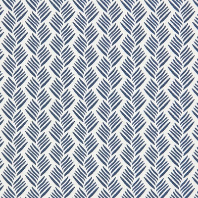 Stout ANOKA BLUEBERRY