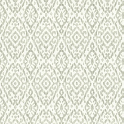 Stout ASCANTE PLATINUM