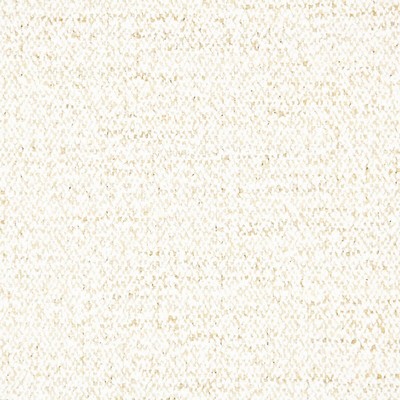 Stout ASHERVILLE SHELL