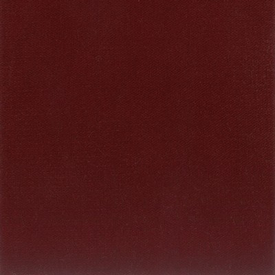 Stout AVILA BORDEAUX