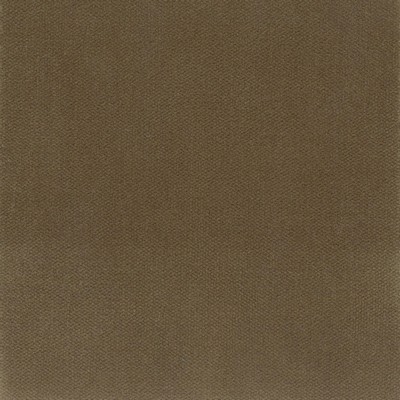 Stout AVILA MUSHROOM