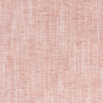 Stout AYERS 2 SHRIMP