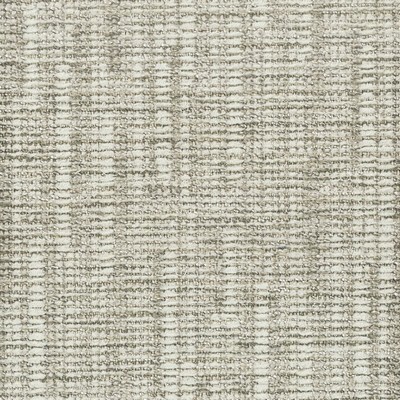 Stout BAGGAGE PEWTER