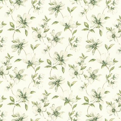 Stout BALDWIN 1 DESERT