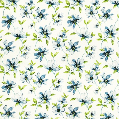 Stout BALDWIN 2 BLUEBERRY