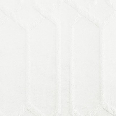 Stout BARRISTER EGGSHELL