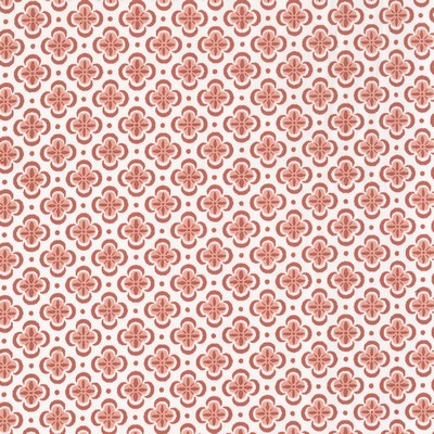 Stout BASILICA CARNATION