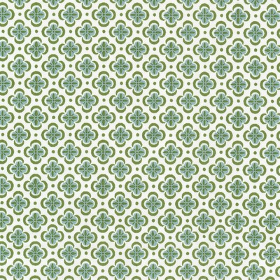 Stout BASILICA SPRING