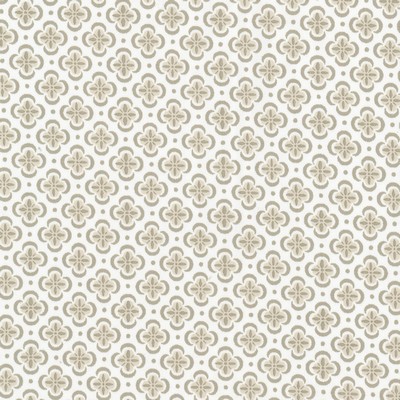 Stout BASILICA PUTTY