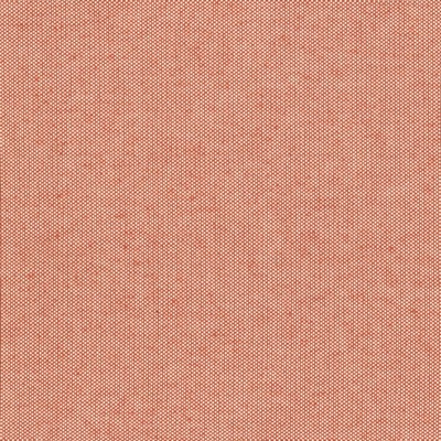 Stout BASKING 2 ORANGE