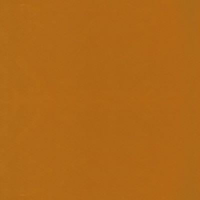 Stout BEECHWOOD 18 CURRY