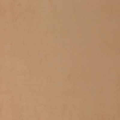 Stout BEECHWOOD 1 CHARDONNAY